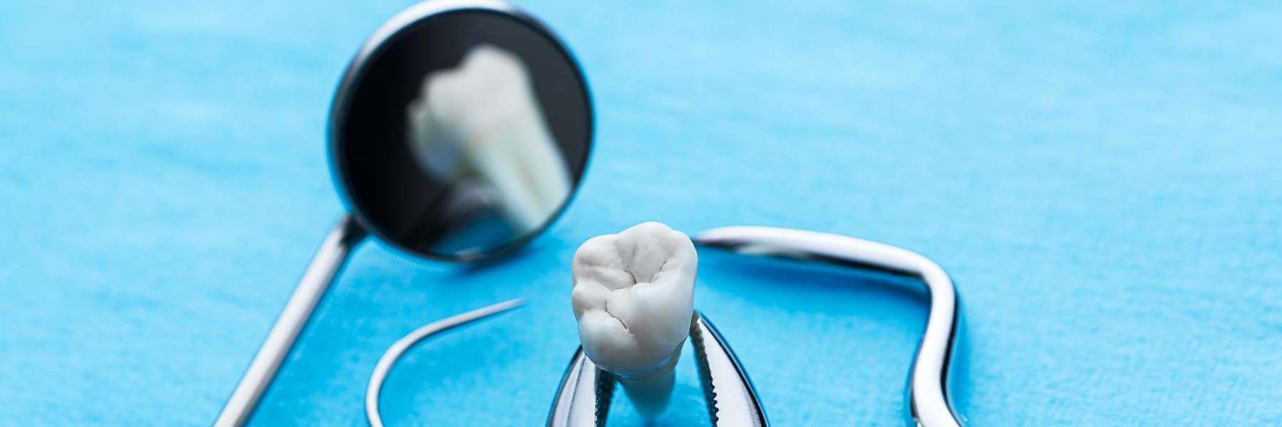 dental tool holding tooth